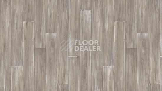 Линолеум Tarkett Idylle Nova KEVIN 1 фото 1 | FLOORDEALER